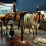 cattle raisers museum